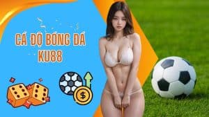 Cá độ bóng đá - Ảnh đại diện