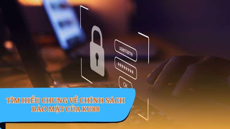 Chính sách bảo mật - Giới thiệu